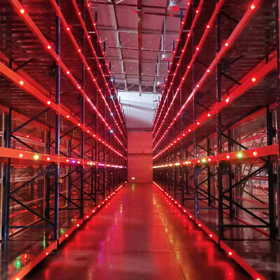 Συσκευές αυτοκινήτων 2.5T φορτίο Ηλεκτρικές κινητές ράβδοι με καθοδηγούμενο σιδηρόδρομο